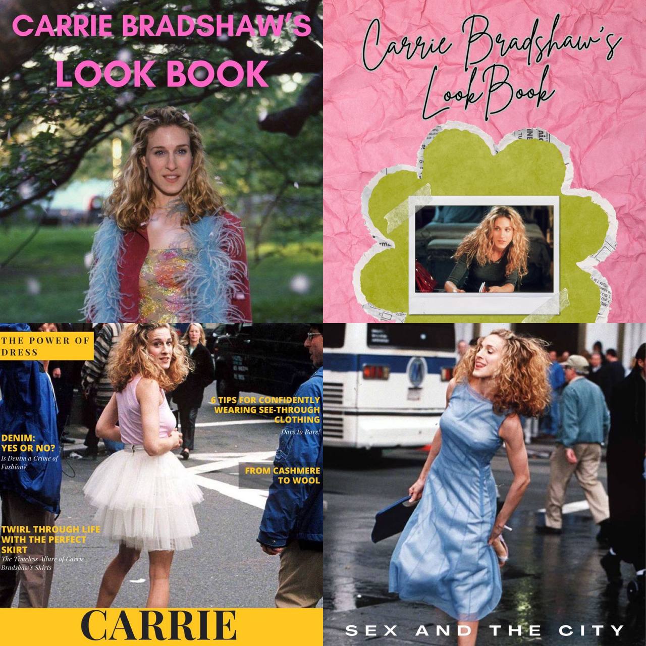 Carrie's Book Set (4 E-books)